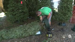 After tough year, shoppers ready for Christmas