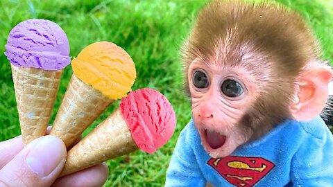 Baby monkey Bon Bon Eats Ice Cream And Swims With Puppy And Duckling