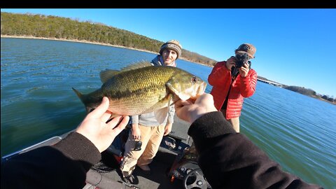 BIG BASS ALERT!!