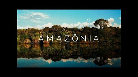 Is the AMAZON the LUNG of the WORLD?