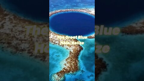 The Great Blue Hole Belize #shorts #youtubeshorts #youtubefeed #mystery #unknownfacts #facts #viral