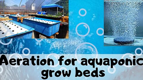 Aeration for floating rafts/ DWC auaqponics PART 1 (hybrid aquaponic system)