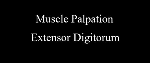 Muscle Palpation - Extensor Digitorum