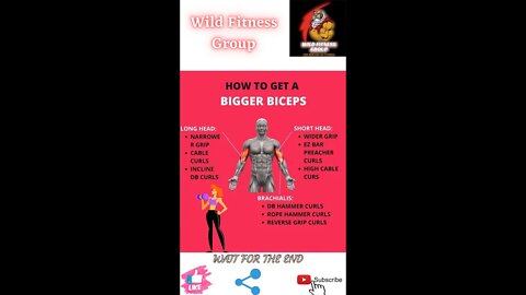 🔥How to get a bigger biceps🔥#shorts🔥#fitnessshorts🔥#wildfitnessgroup🔥20 march 2022🔥