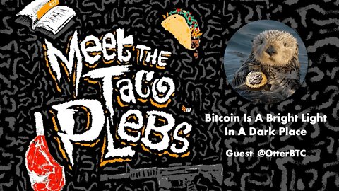 Bitcoin Is A Bright Light In A Dark Place with OtterBTC - Meet the Taco Plebs