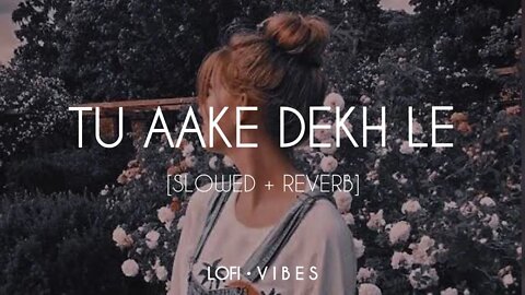 Tu Aake Dekhle (Slow & Reverb) King ! Lofi song ! Chetram Nayak