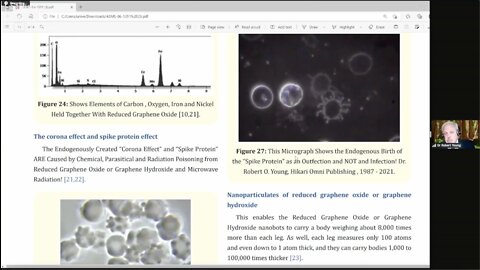 Dr. Robert O. Young & Dr. Reiner Fuellmich - The Corona Committee