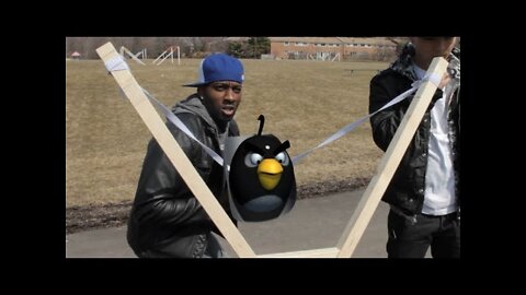 Real Life Angry Birds - Interactive (DeStorm)