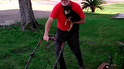 Grandpa Mows Lawn While Holding His Dog