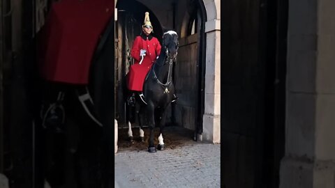 Horse won't settle #horseguardsparade