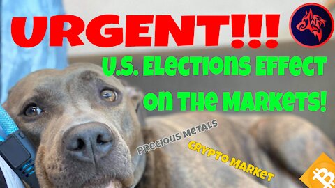 URGENT!! U.S. Elections Effect on Precious Metals and Cryptocurrency