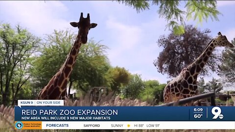 Reid Park Zoo expansion will allow for nine new major habitats