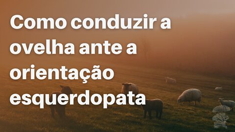 Como conduzir a ovelha ante a orientação esquerdopata