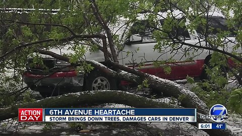 What to do with broken or fallen tree branches after this late May spring storm