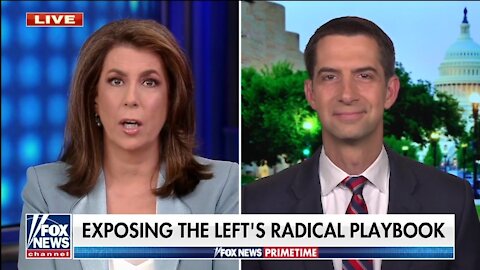 Tom Cotton: Dems Are Going To Pay a Price For Their Policies