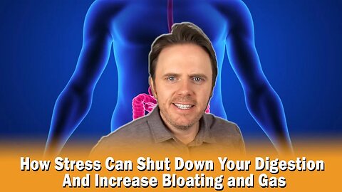 How Stress Can Shut Down Your Digestion And Increase Bloating and Gas