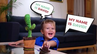 Funny Dancing Cactus | Chunchik Toys