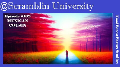 @Scramblin University - Episode 162 - Phish Songs - Mexican Cousin