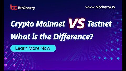 Crypto Mainnet vs Testnet: What is the Difference? Feat: BitCherry BCHC