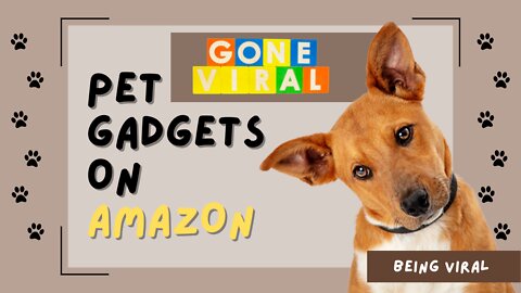 Cute Pet Gadgets on Amazon