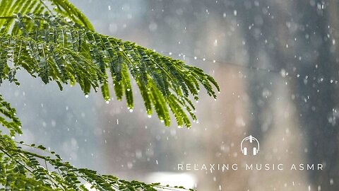 Sound Rain In Slow Motion in Forest | Relaxation Music