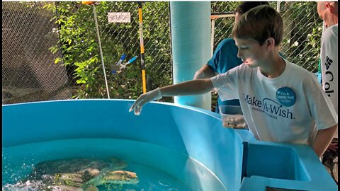 Wish for an experience with sea turtles granted in Boca Raton to young Kansas teen battling cancer