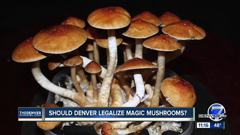 Denver psychedelic mushroom decriminalization proponents to find out if measure makes ballot