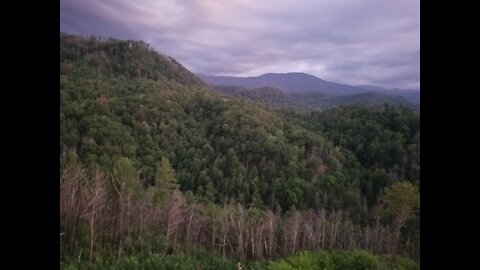 The Majestic Smoky Mountains