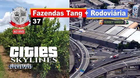 Cities Skylines: Fazendas Tang + Terminal Rodoviário Intermunicipal - São Ubira 37 - Ao Vivo.