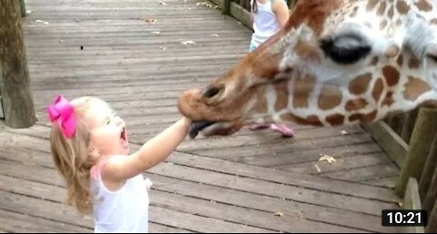 Funny Kids + Funny Animals = Hilarious!