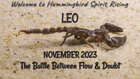 LEO November 2023 - The Battle Between Doubt & Flow