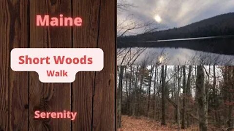 Short Hike in the Maine Woods