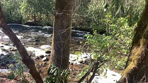 Beautiful scenery from Great Smoky Mountains National Park