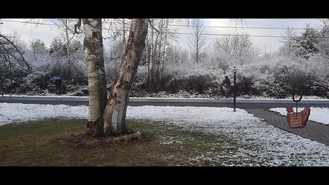 Neighbor Girl Capturing the Spirit of Resilience on A Freezing Ride!