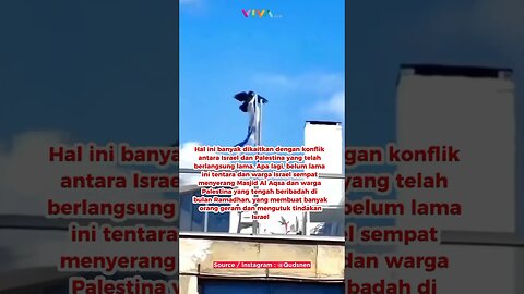 Seekor Burung Gagak Robek Bendera Israel #viral #viralvideo #viralshort #israel #palestine #gaza