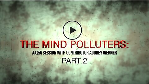 "The Mind Polluters:" A Q&A Session with contributor Audrey Werner PART 2