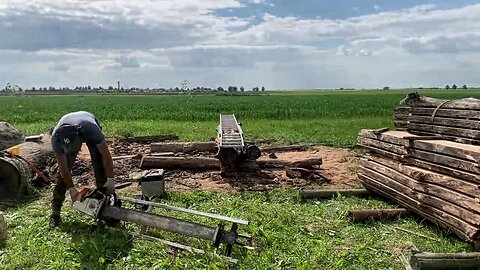 Chainsaw Mill | Sawing old oak Guide