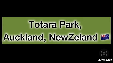 Totara Park, Auckland, New Zealand 🇳🇿