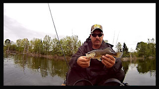 First Fish on the Pelican Catch 130 HD Kayak