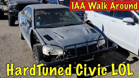 IAA Walk Around, Hard Tuned Honda Civic, With Esor World