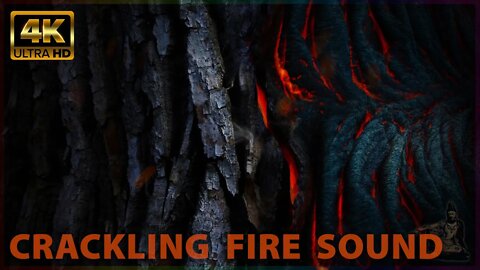 🔥 Crackling Fire Sound | Lava Burns Wood | Satisfying Video