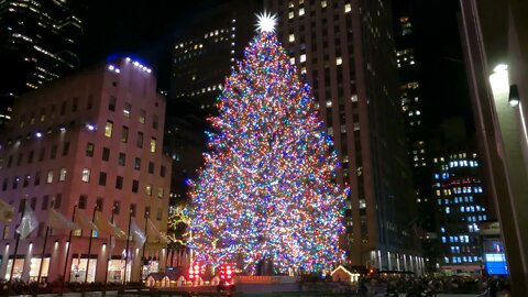 FOX News & Rockerfeller Center Christmas Tree 4K