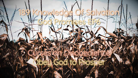 189 Knowledge Of Salvation - God Promises EP6 - Curses on Disobedience, Obey God to Prosper