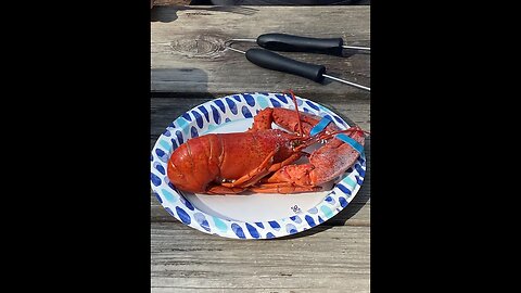 Lobster in the RV Outside Kitchen : Kelley's Outdoor Adventures and RVdrifters