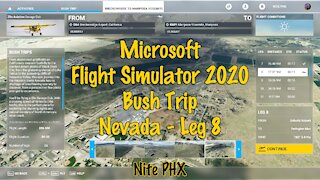 MSFS2020 Multiplayer Bush Trip Nevada Leg 8