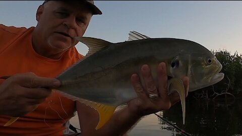 DCFloridasport Backwater Quicktrip, PB Jack Crevalle, the Ladyfish tease us the whole time