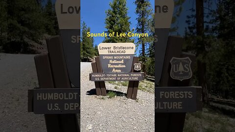 Sounds of Lee Canyon , Nevada #shorts