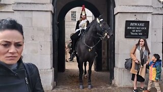 Horse makes a noise tourist runs #horseguardsparade