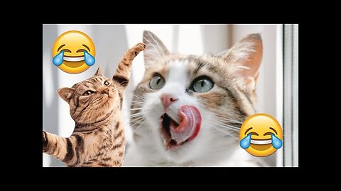 very funny videos latest uploaded viral video 🤣🤣😂😂 #viral #vidos #latestvideo #meaningfull