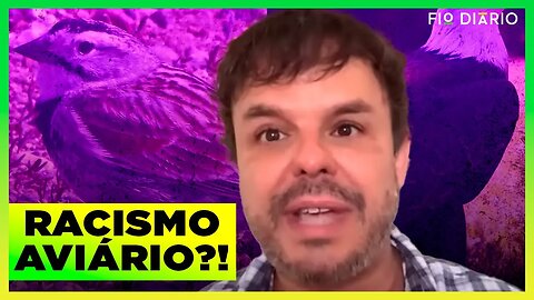 AVES DEIXARÃO DE TER NOMES DE FIGURAS COM HISTÓRIA "RACISTA E COLONIALISTA", NOS EUA